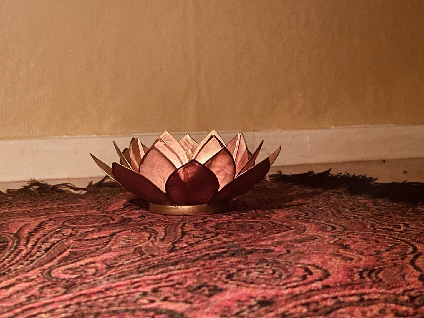 30 minutes of stillness