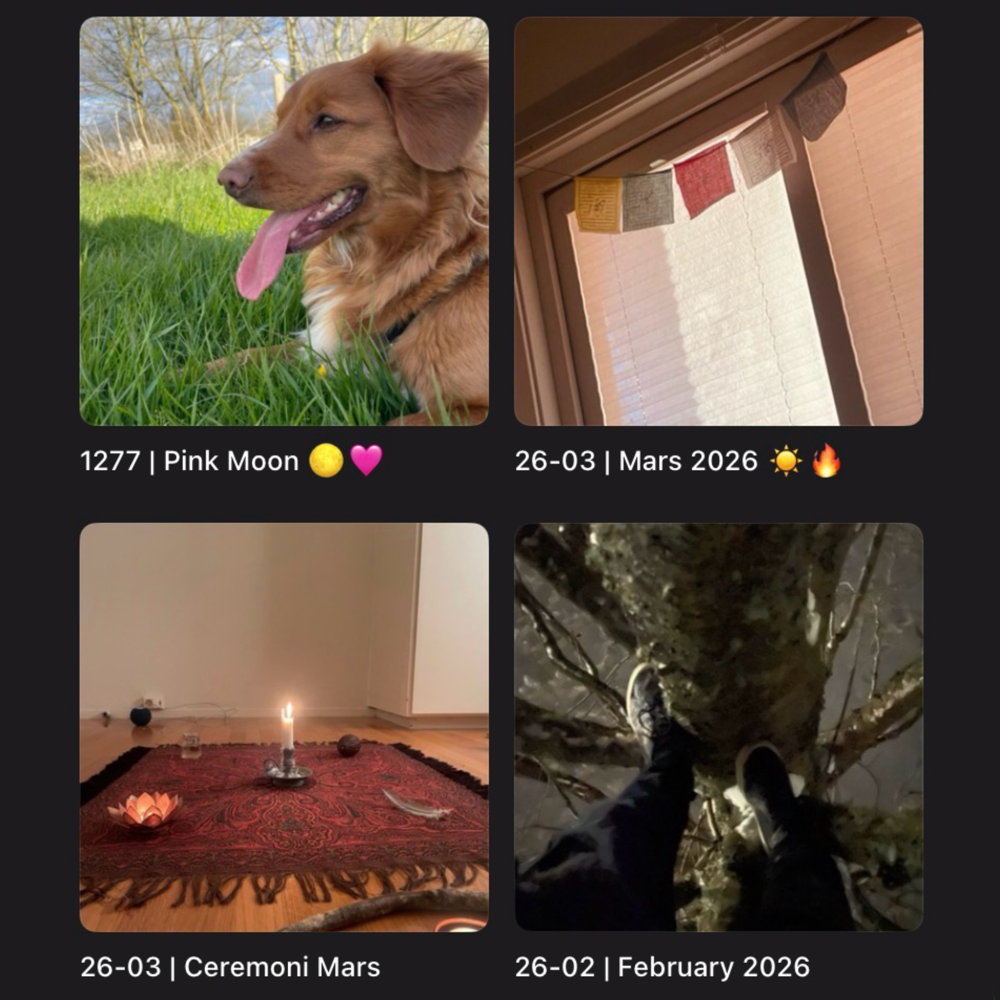 My Monthly Playlists